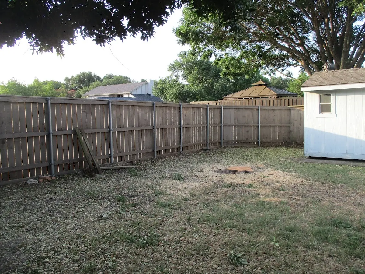 Cleared yard after professional tree removal in Tuscarora