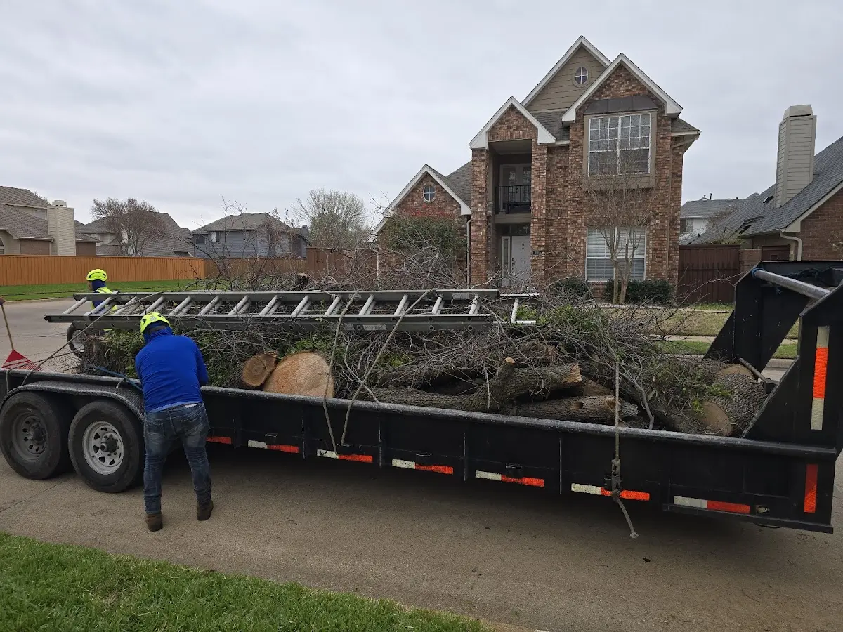 Expert Tree Removal with proper safety equipment in Tuscarora